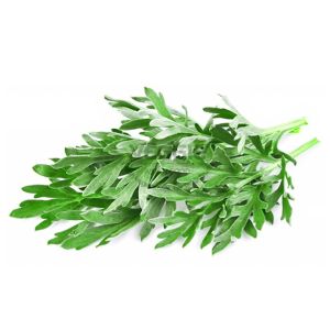 Lá Ngải Cứu 100G