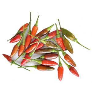 Ớt Lào Trắng 100G